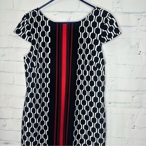 Dress Barn size 14 dress